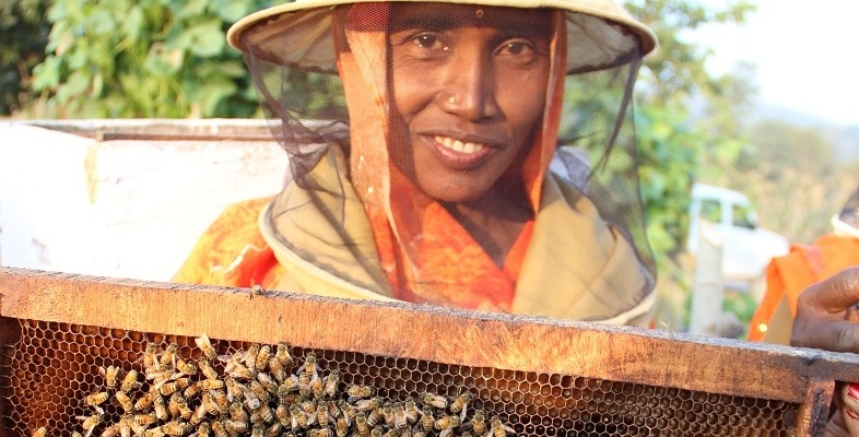 World Food Day 2015 - Meet the women harvesting honey in rural India